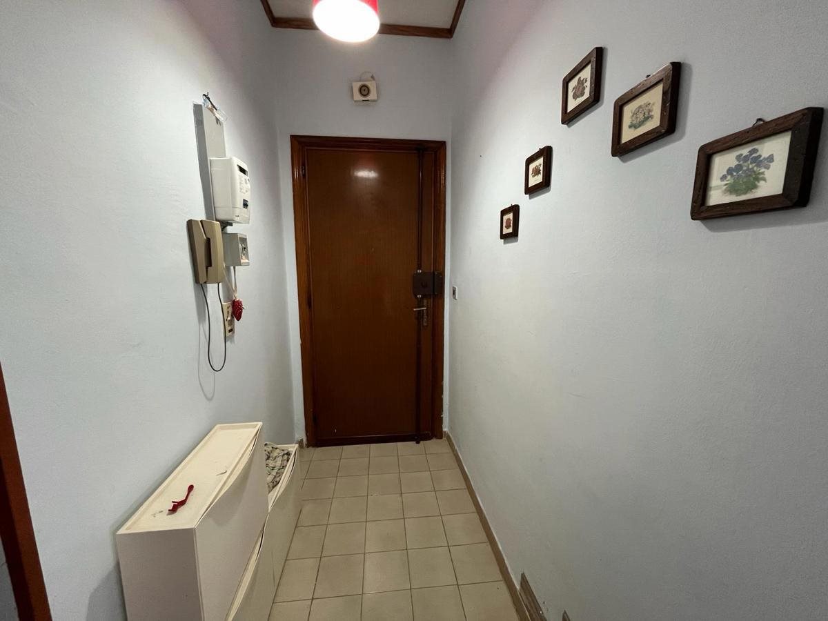 95c5cb9b-9b9f-4e69-90eb-022e1fb86533-o.jpg