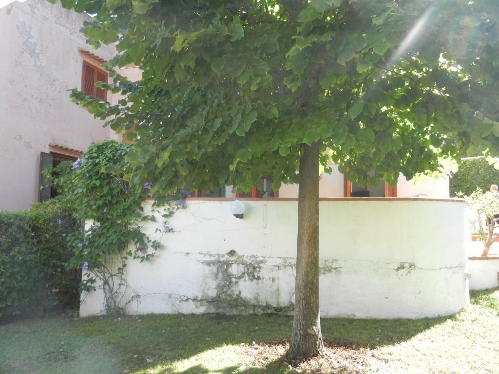 e9166c34-95ce-4c74-ad63-8fcfe54bc825-o.jpg